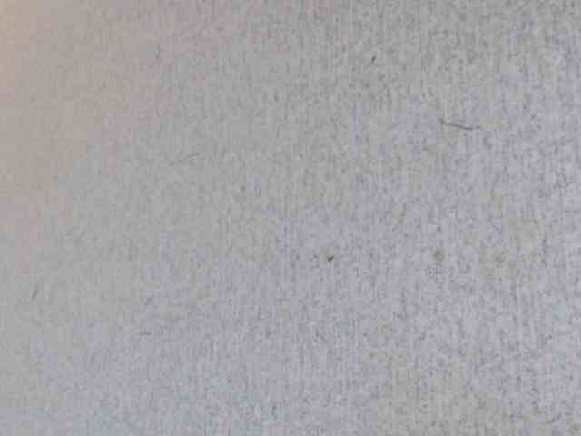 Gospozha-888 webcam