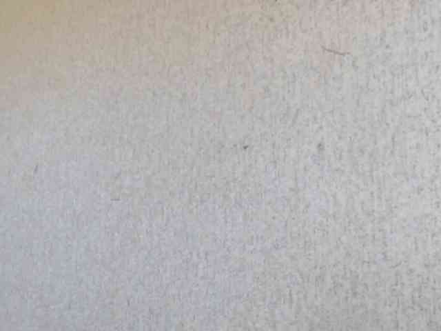 Gospozha-888 webcam