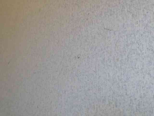 Gospozha-888 webcam