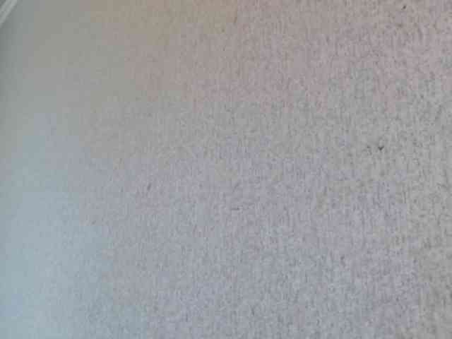 Gospozha-888 webcam