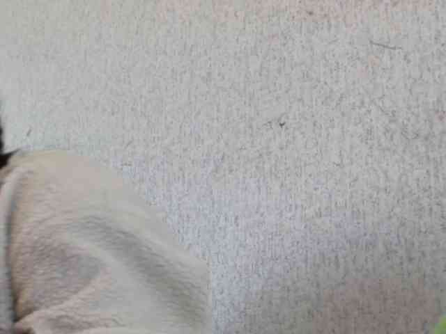 Gospozha-888 webcam