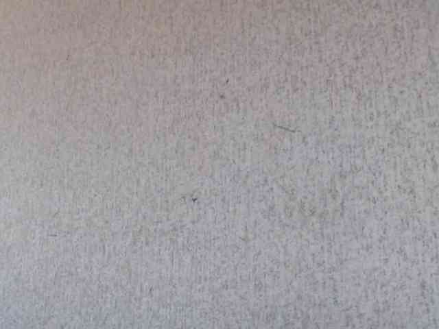 Gospozha-888 webcam