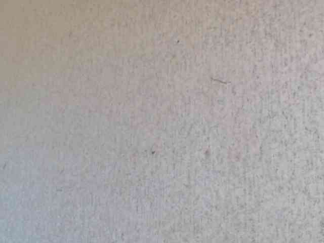Gospozha-888 webcam