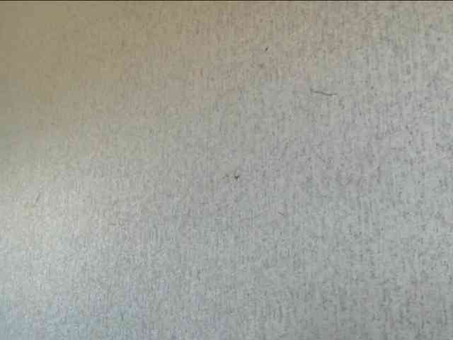 Gospozha-888 webcam