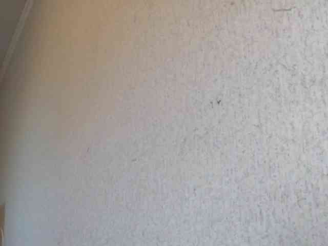Gospozha-888 webcam