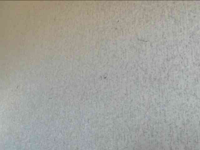 Gospozha-888 webcam