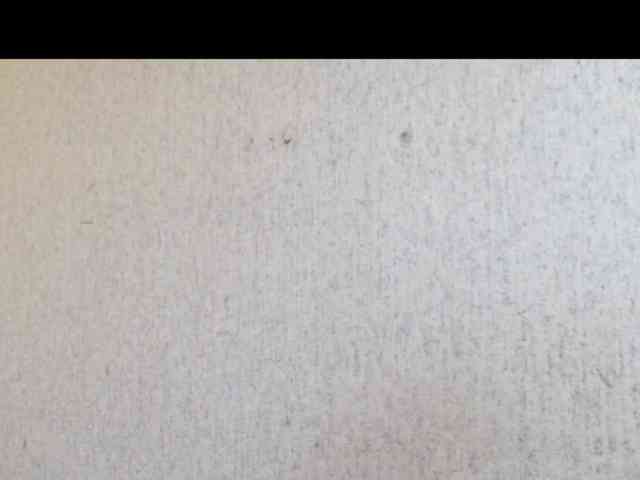 Gospozha-888 webcam