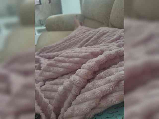 -Savanna- webcam