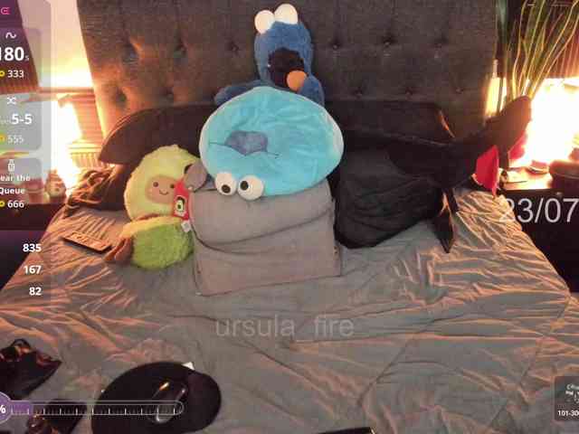 ursula-fire webcam