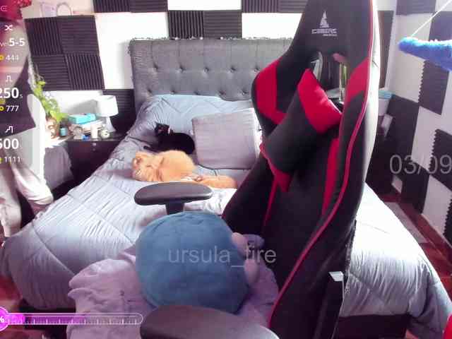ursula-fire webcam