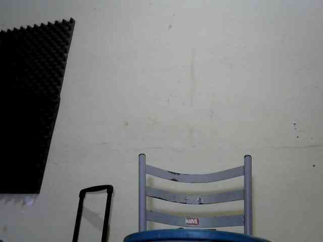 flordodeserto webcam