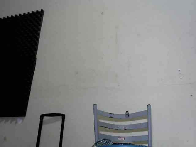 flordodeserto webcam