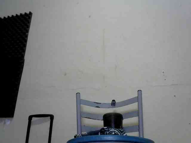 flordodeserto webcam