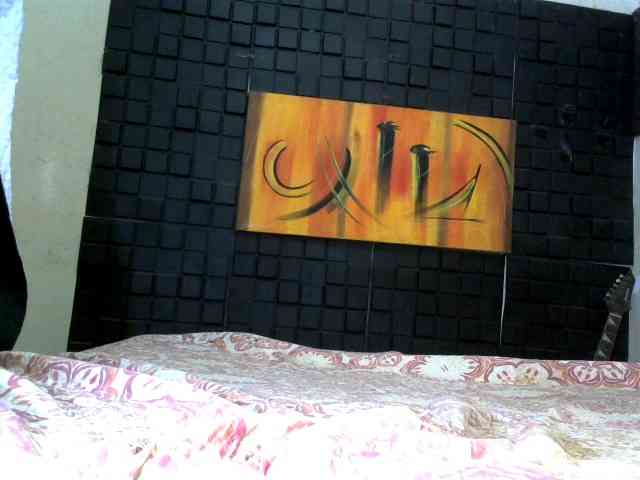 flordodeserto webcam