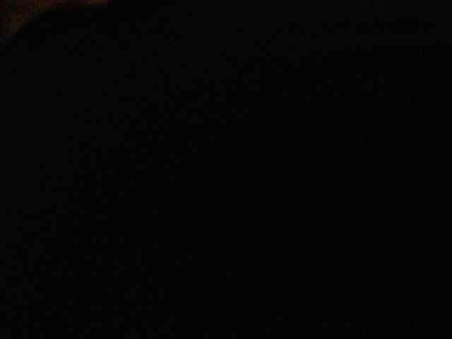 Cocochanell webcam