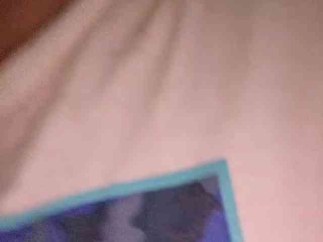 Cocochanell webcam
