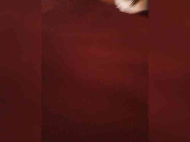 Cocochanell webcam