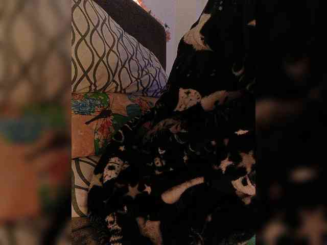 Cocochanell webcam