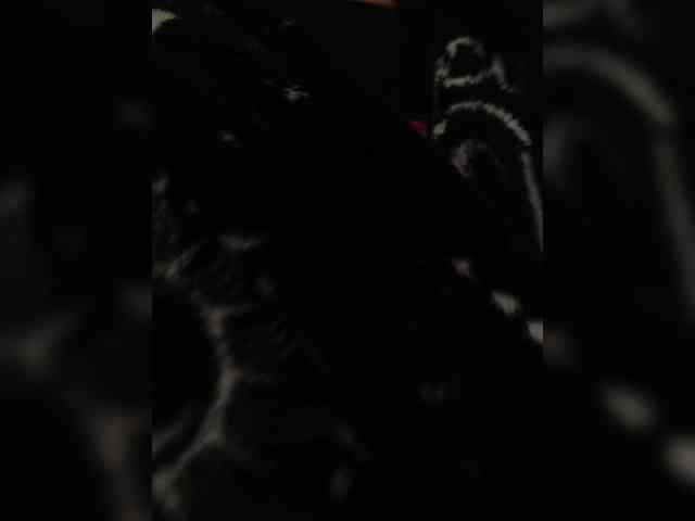 Cocochanell webcam