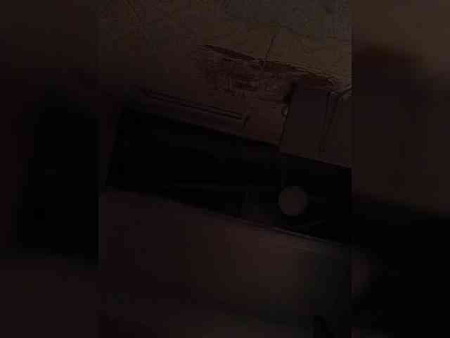Cocochanell webcam
