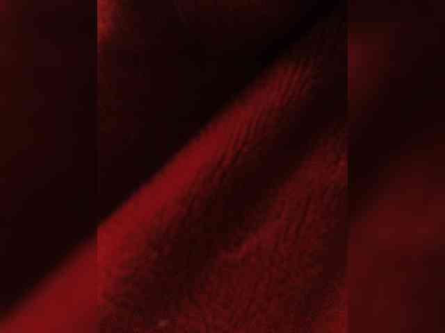 Cocochanell webcam