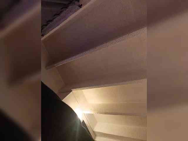 Cocochanell webcam