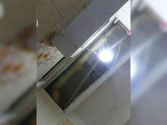 Cocochanell webcam