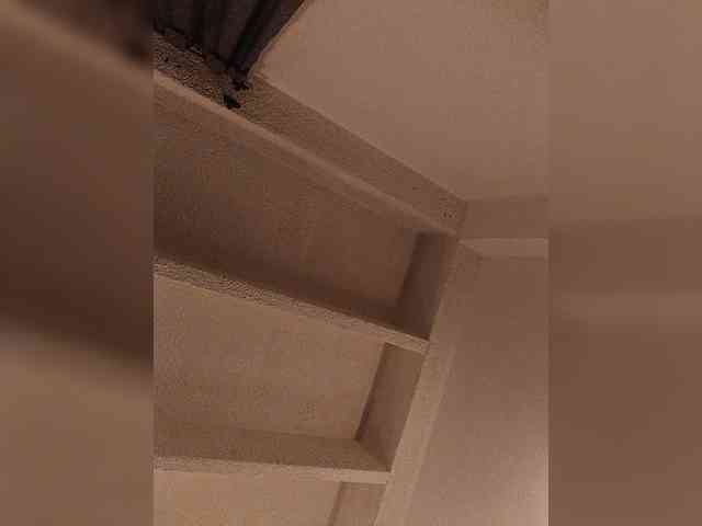 Cocochanell webcam
