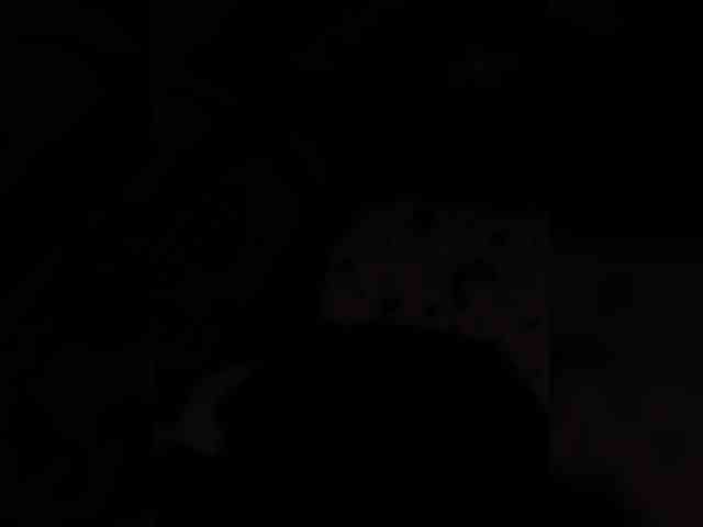 Cocochanell webcam