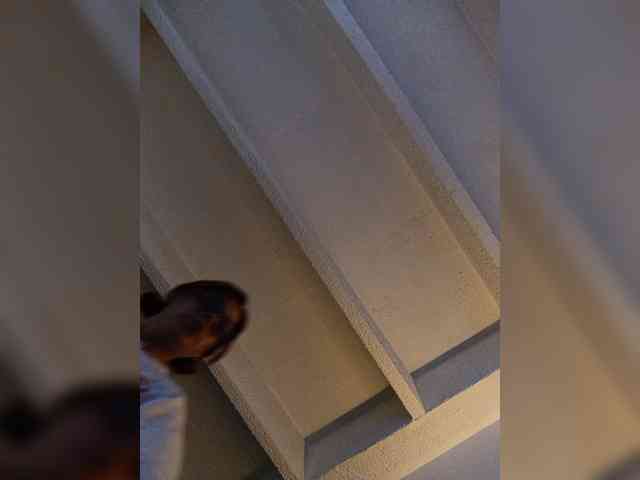 Cocochanell webcam