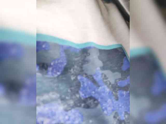 Modella: Cocochanell