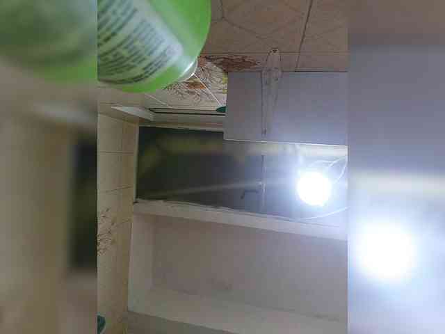 Cocochanell webcam