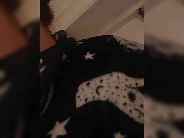 Cocochanell webcam