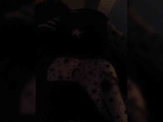 Cocochanell webcam
