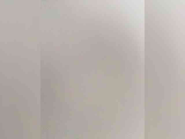 -ALLSAINT- webcam