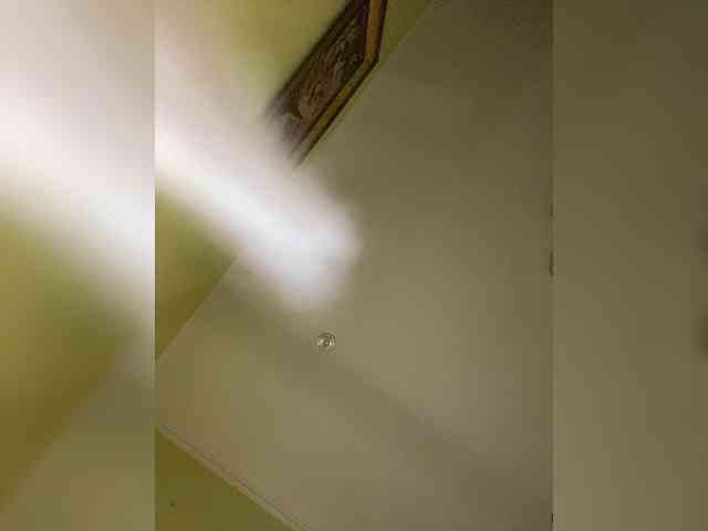 -ALLSAINT- webcam