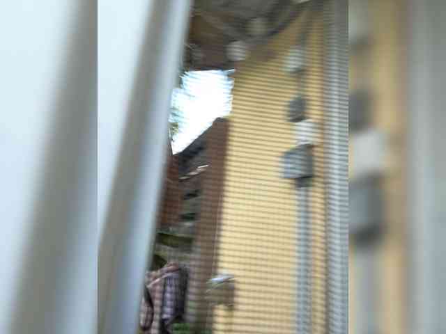 April_XO webcam