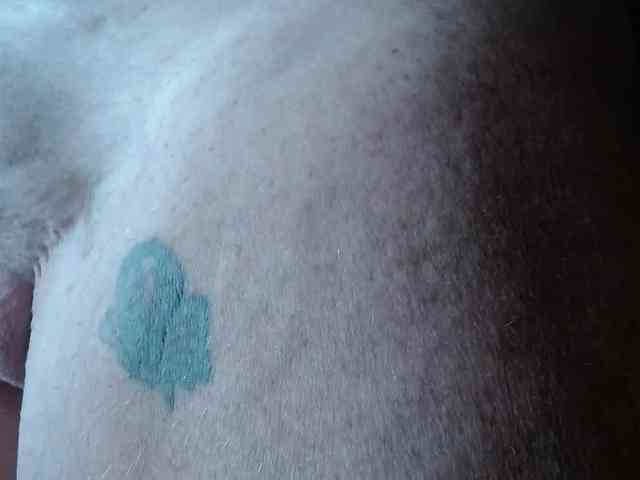 April_XO webcam