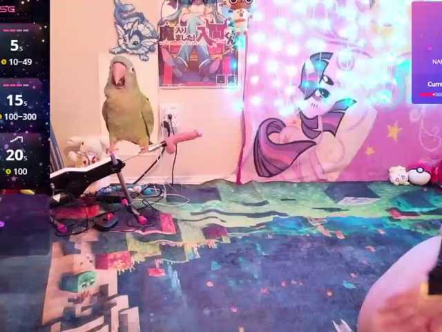 BabyZelda live cam on BongaCams