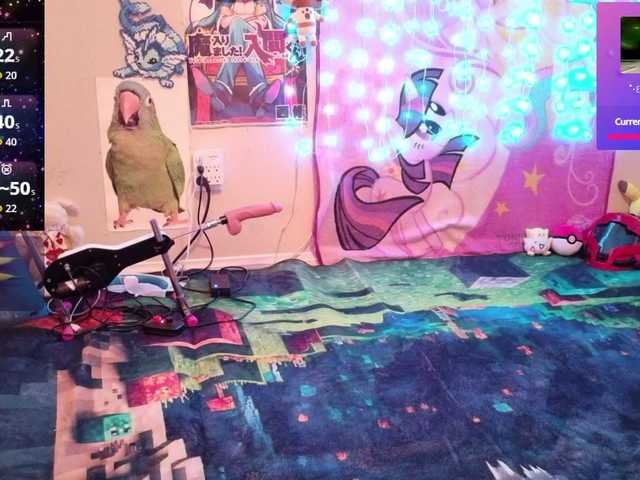 BabyZelda live cam on BongaCams
