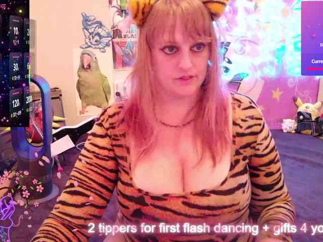 BabyZelda webcam