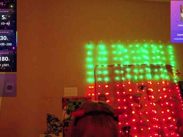 BabyZelda webcam