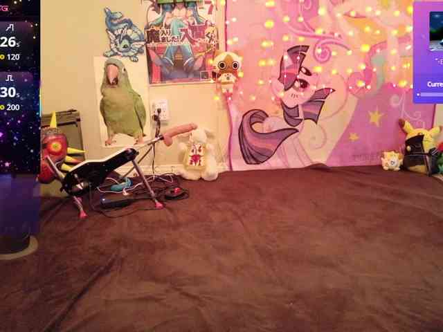 BabyZelda webcam