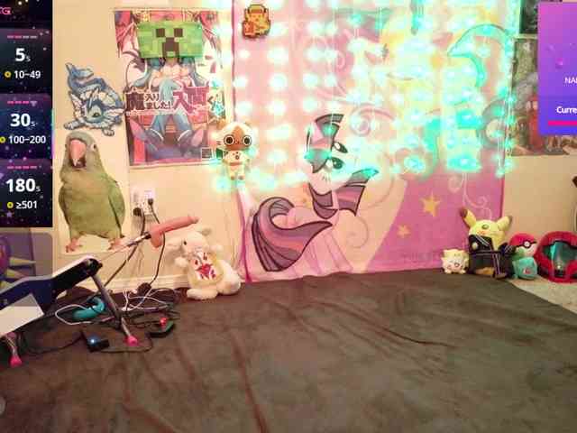 BabyZelda webcam