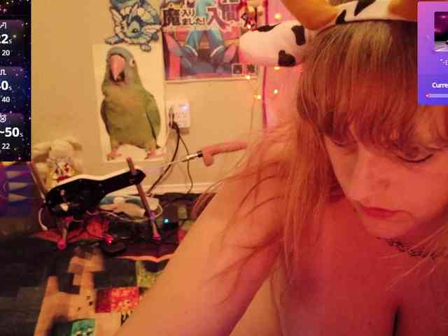 BabyZelda webcam
