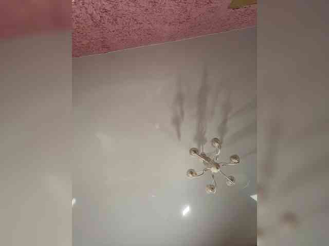 Enchantressss webcam