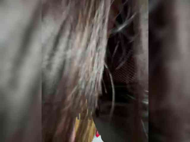 enchantressss