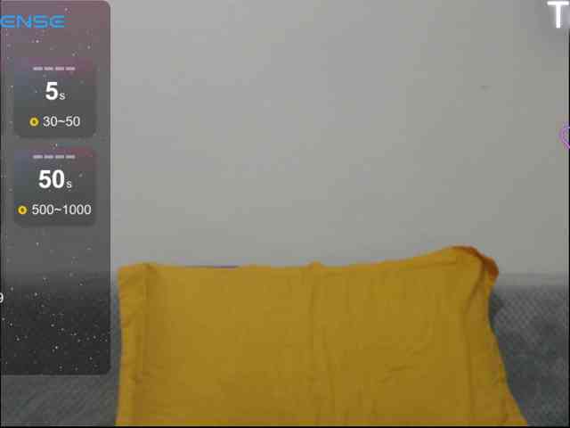 ElyStar1 webcam