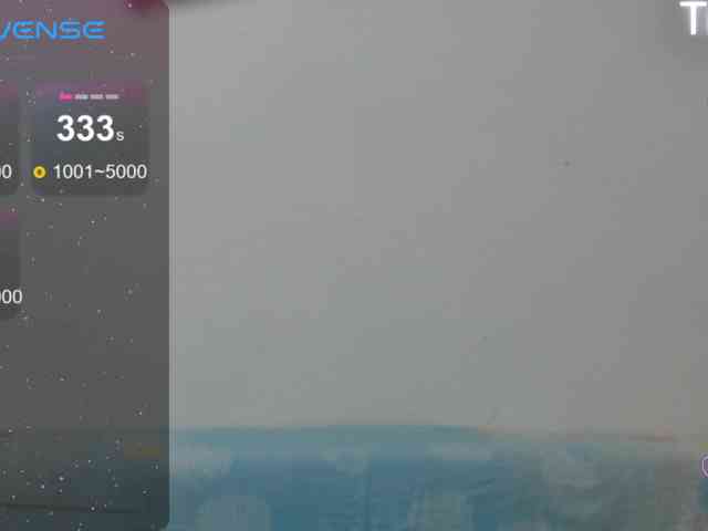 ElyStar1 webcam