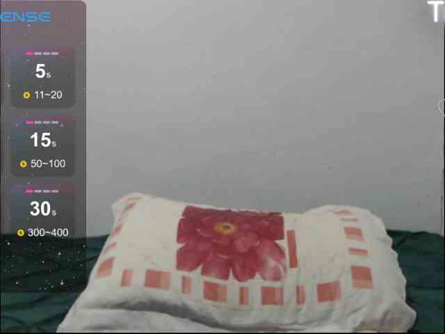 ElyStar1 webcam